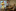 Clownbesuch_09.jpg